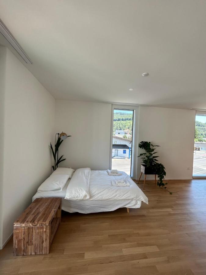 The R Apartment Passwang, Klima, Neu, Balkon, Parking Balsthal Exteriör bild