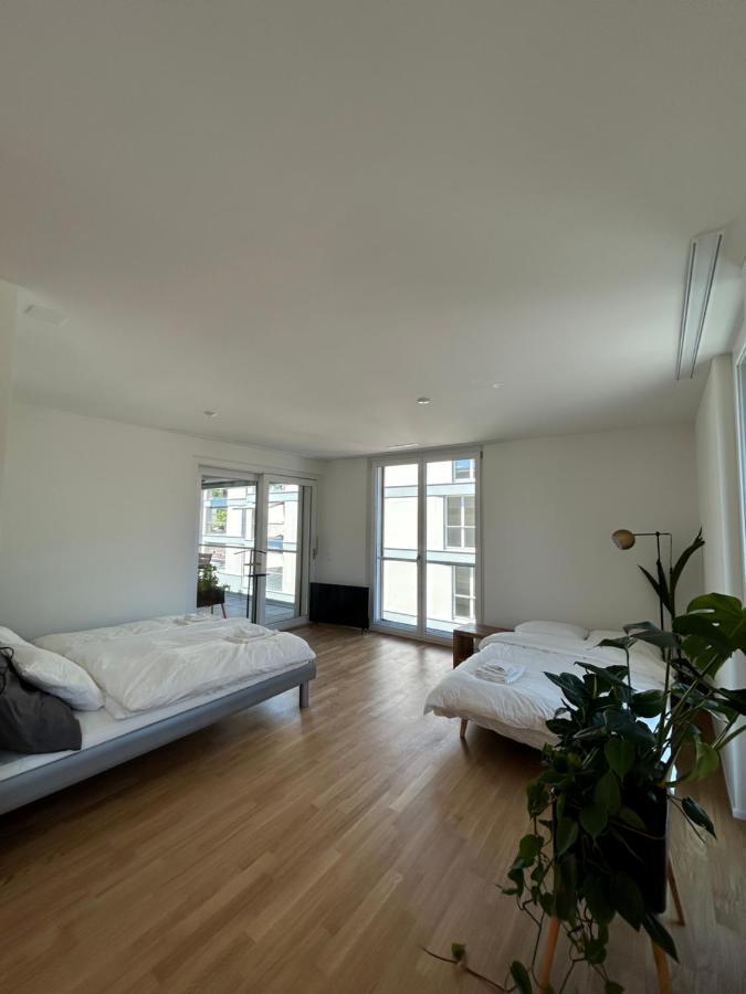 The R Apartment Passwang, Klima, Neu, Balkon, Parking Balsthal Exteriör bild